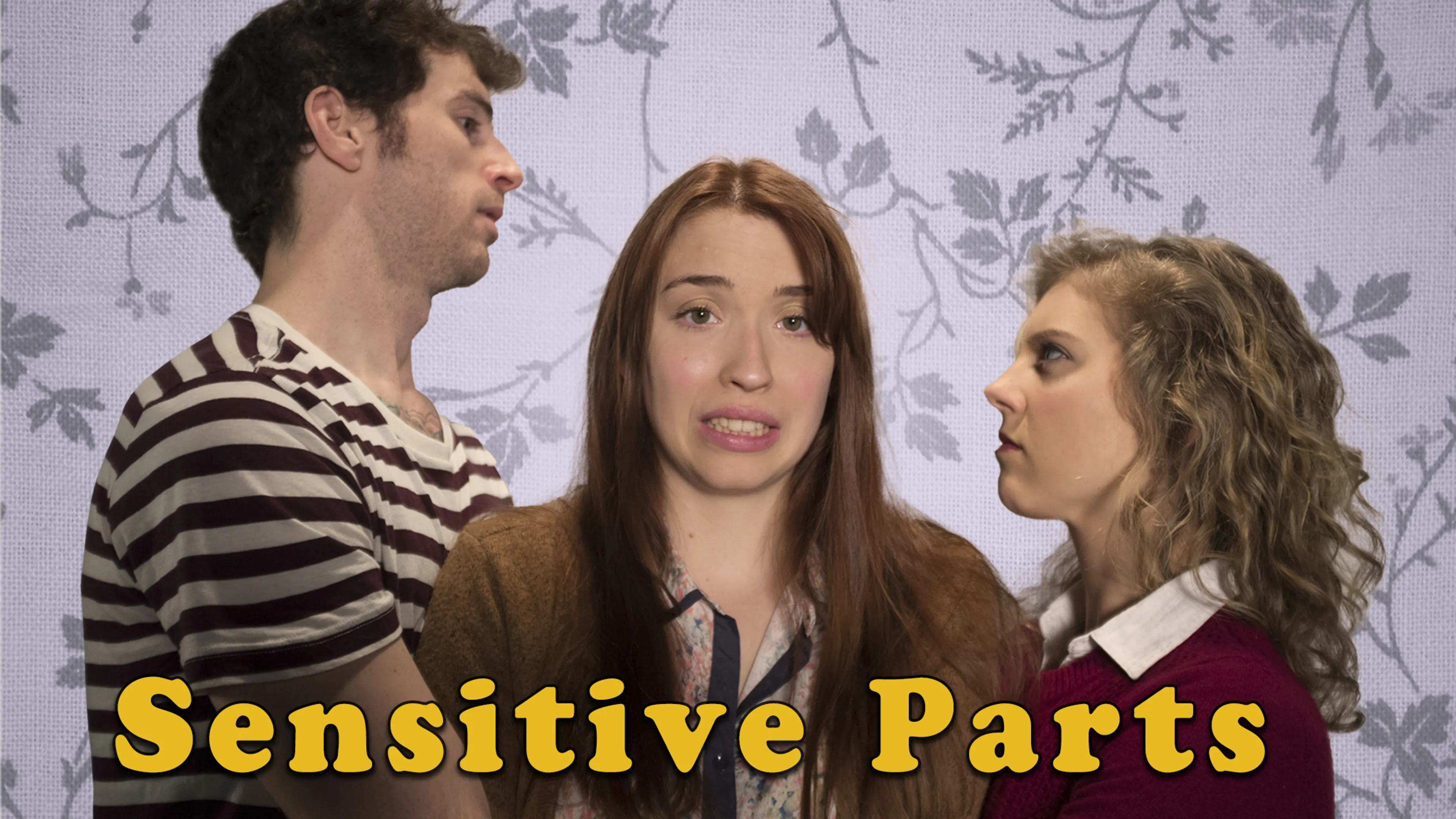 Sensitive Parts poster